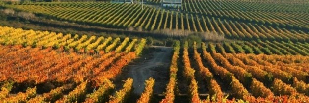 À mesa com o diretor, o enólogo e os vinhos da chilena Casa Silva